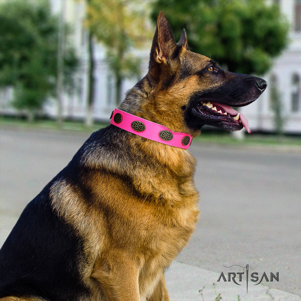 German-Shepherd convenient collar with impressive studs for your doggie