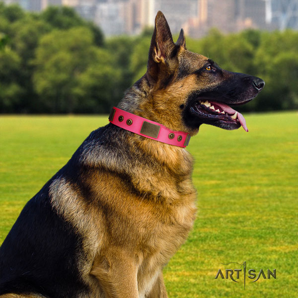 German-Shepherd best quality collar with remarkable embellishments for your canine