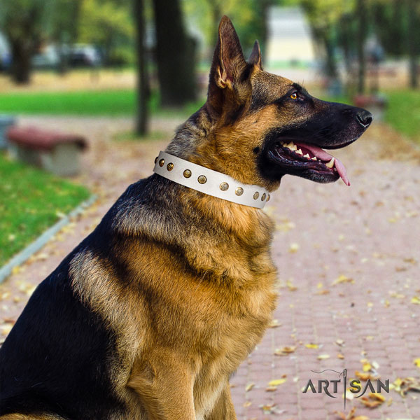 German-Shepherd adjustable collar with incredible studs for your dog