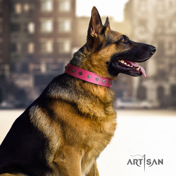 German-Shepherd significant full grain natural leather collar with adornments for your doggie