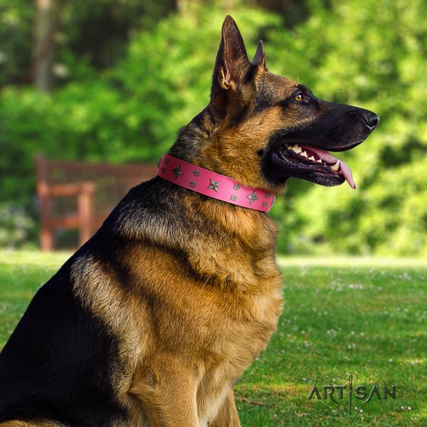 German-Shepherd perfect fit full grain natural leather collar with decorations for your pet