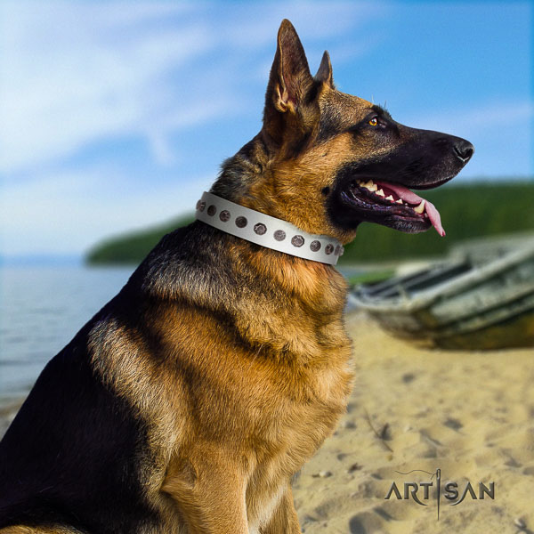 German-Shepherd stunning full grain natural leather collar with adornments for your doggie