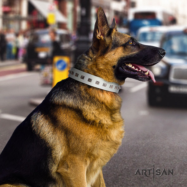 German-Shepherd top notch full grain leather collar with decorations for your dog