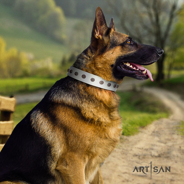 German-Shepherd convenient leather collar with embellishments for your four-legged friend