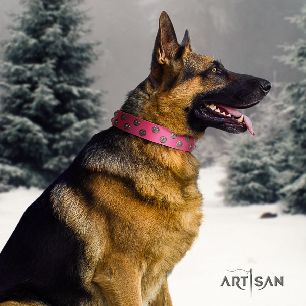 German-Shepherd top notch full grain natural leather collar with adornments for your four-legged friend