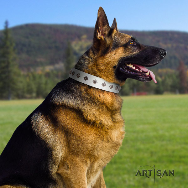German-Shepherd handmade full grain leather collar with studs for your four-legged friend