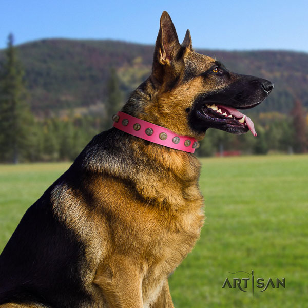 German-Shepherd top notch full grain leather collar with decorations for your four-legged friend