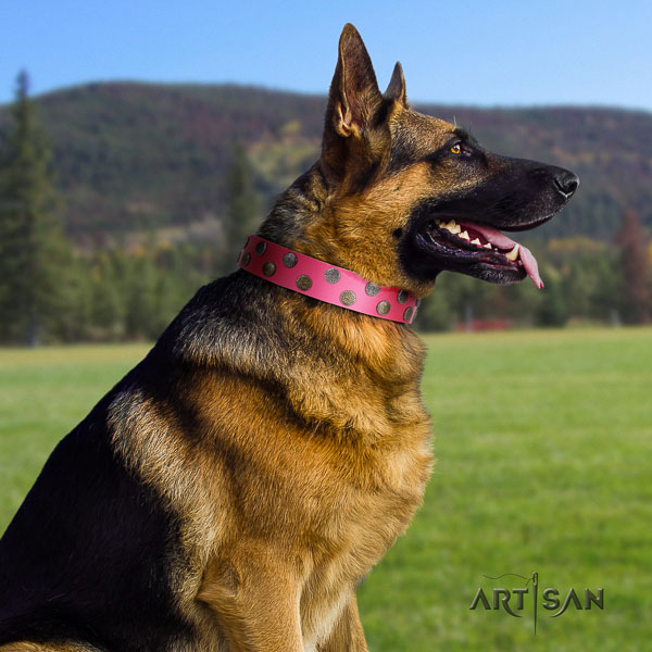 German-Shepherd exceptional leather collar with embellishments for your canine