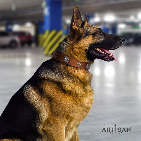 German-Shepherd extraordinary natural genuine leather collar with embellishments for your dog