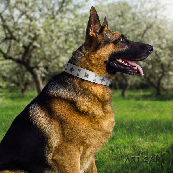 German-Shepherd incredible full grain genuine leather collar with adornments for your canine