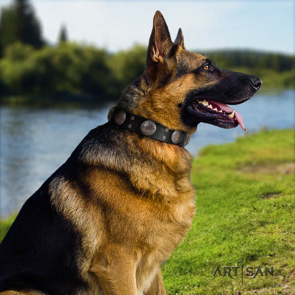 German-Shepherd trendy natural genuine leather collar with decorations for your dog