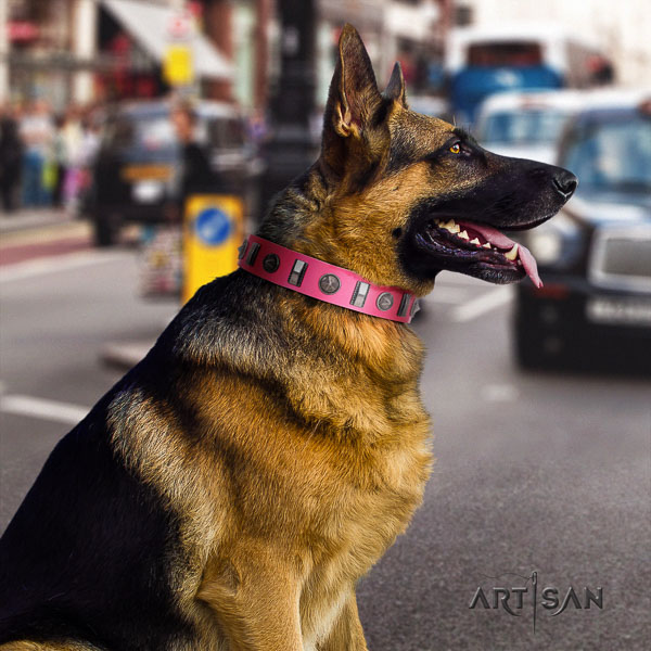 German-Shepherd incredible full grain natural leather collar with studs for your dog
