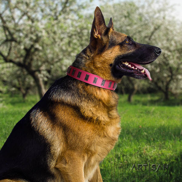 German-Shepherd perfect fit leather collar with embellishments for your canine
