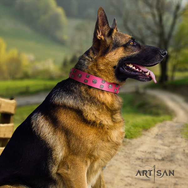 German-Shepherd best quality full grain natural leather collar with adornments for your four-legged friend