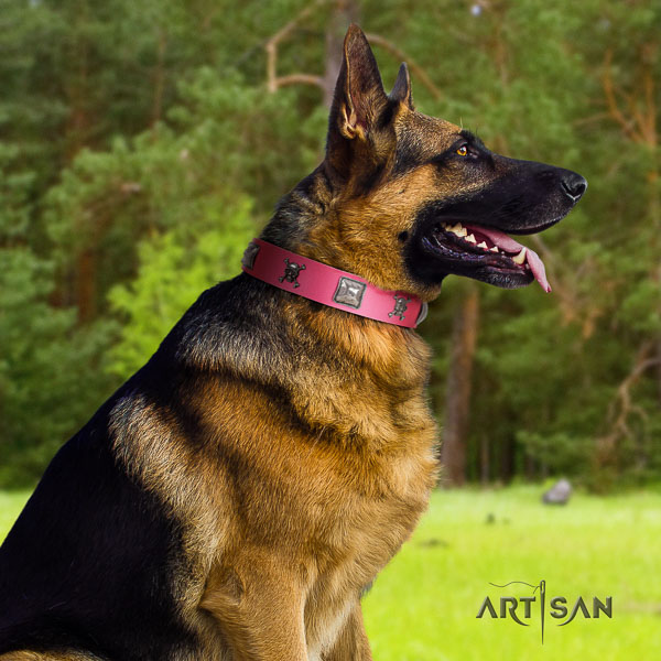 German-Shepherd stunning natural genuine leather collar with studs for your dog