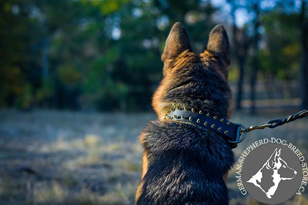 German-Shepherd black leather collar adjustable  with traditional buckle for walking