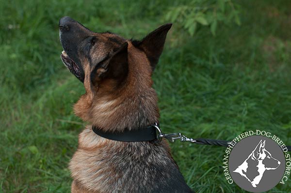 German-Shepherd leather collar easy-to-adjust with nickel plated hardware for improved control