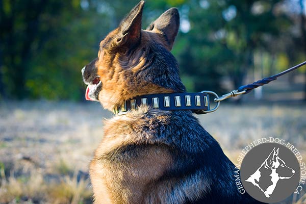 German-Shepherd black leather collar of genuine materials decorated with plates for walking