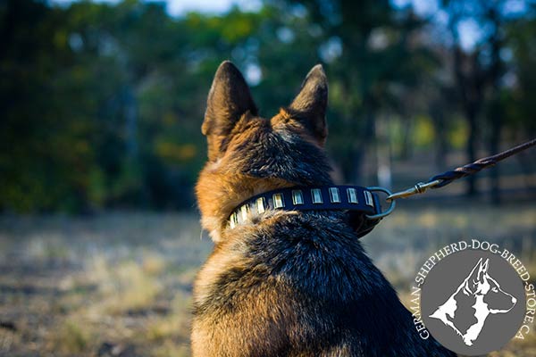 German-Shepherd leather collar of genuine materials with brass plated fittings for daily activity