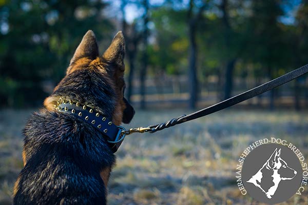 German-Shepherd leather collar of classy design decorated with spikes for stylish walks