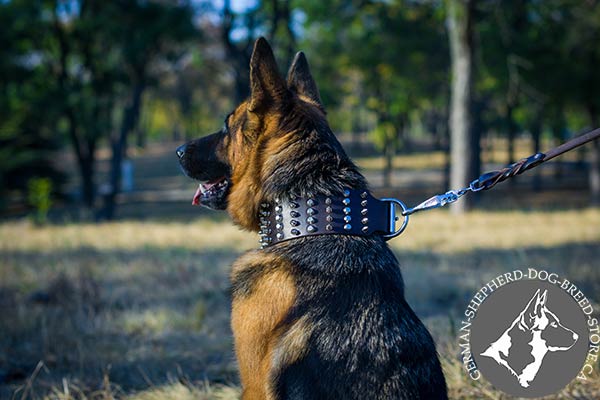 German-Shepherd brown leather collar of high quality adorned with spikes and studs  for walking in style