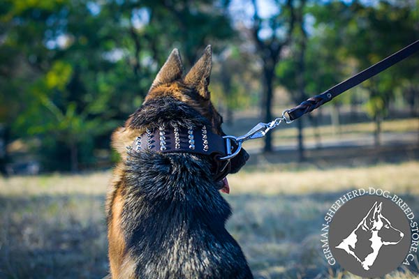 German-Shepherd brown leather collar with rust-proof fittings for perfect control