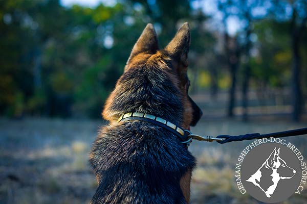 German-Shepherd black leather collar with reliable fittings for improved control