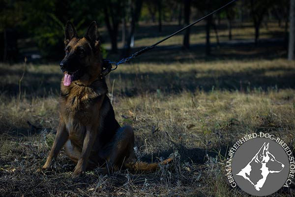 German-Shepherd black leather collar with rust-proof hardware for quality control