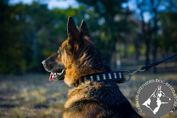 German-Shepherd leather collar of high quality with d-ring for leash attachment for quality control