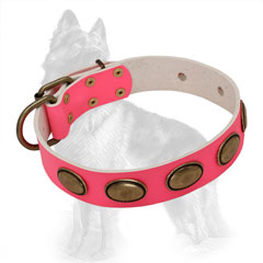 Pink Leather Dog Collar Equipped with Brass Fittings