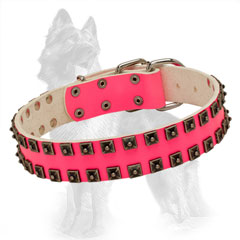 Studded Leather Dog Collar of Bright Pink Color