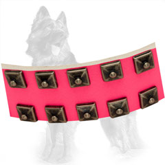 Leather Dog Collar Strap with 2 Rows of Old Nickel Studs