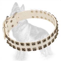Leather Dog Collar with 2 Rows of Old Nickel Studs