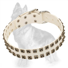 Studded Leather Dog Collar of White Color