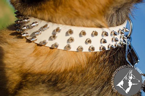 Amazing Leather German-Shepherd Collar with Decorative Spikes