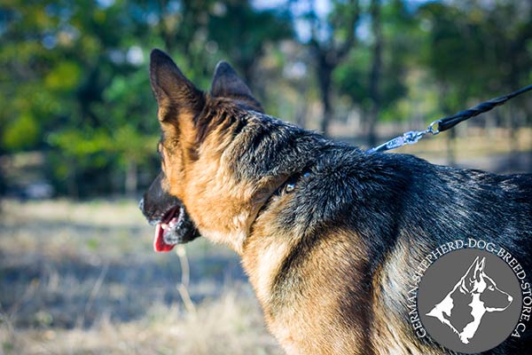 Leather Dog Collar with D-ring for Easy Leash Connection