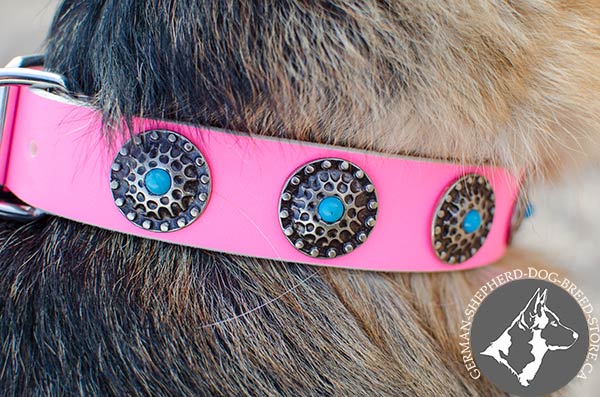 Pink Dog Collar with Fancy Conchos with Tiny Blue Stones
