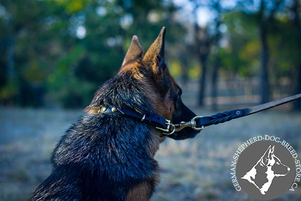 Fashionable Dog Collar with Adjustable  Buckle and Strong D-ring