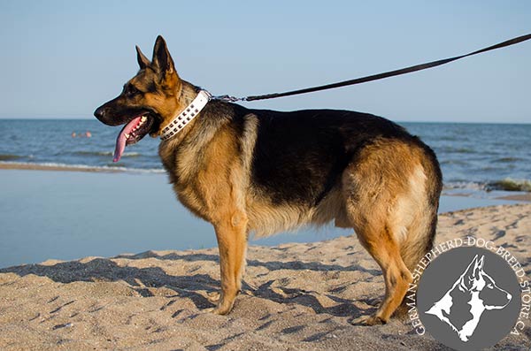 White Leather German-Shepherd Collar with Caterpillar Design Studs