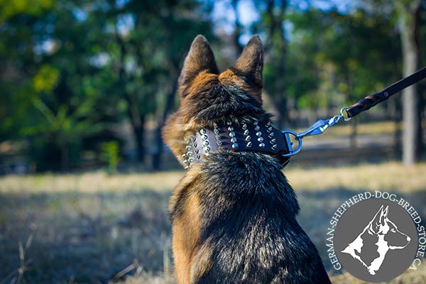 Spiked German-Shepherd Collar with Reliable Buckle and Massive D-ring