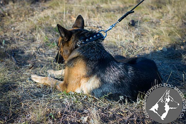Studded Leather Dog Collar with High-quality Hardware