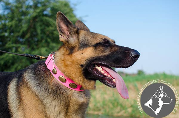 Stylish Leather German-Shepherd Collar in Bright Pink