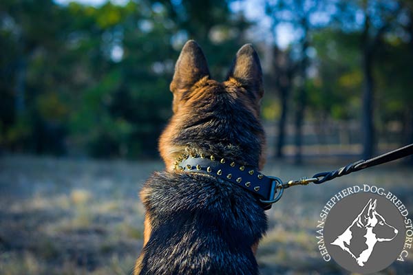 Luxurious  German-Shepherd Collar with Sparkling Spikes