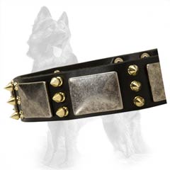 Massive Old Nickel Plates between Brass Spikes on German-Shepherd Leather Collar