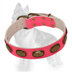 Pink Leather Dog Collar Decorated with Vintage Oval Brass Plates