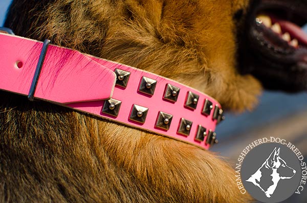 Fancy Pink Leather Dog Collar with Antiqued Square Studs
