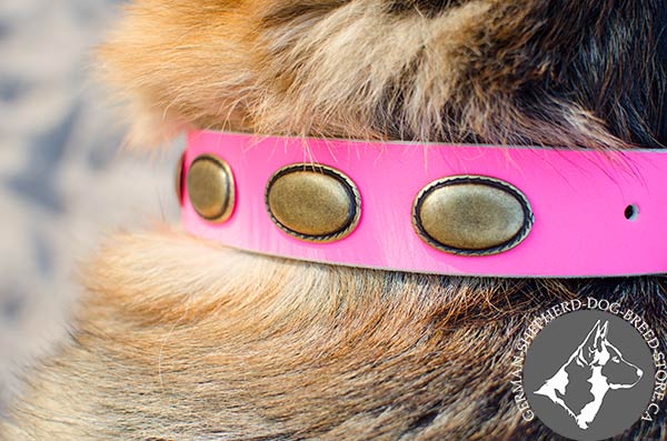 Pink German-Shepherd Collar with Large Oval Plates