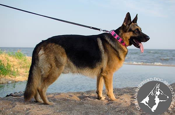 Excellent Design Pink Leather Collar for German-Shepherd