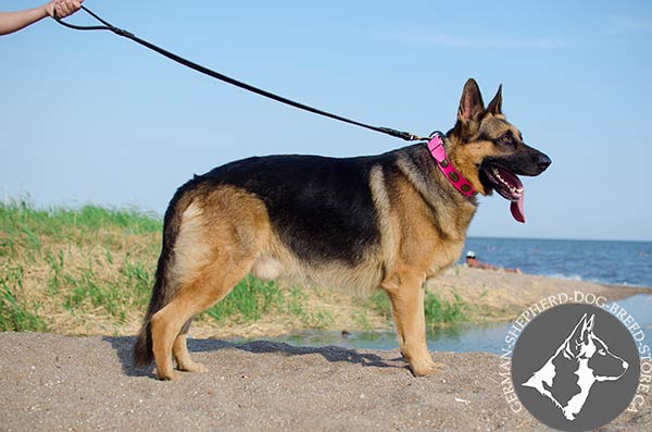 Pink decorated Leather German-Shepherd Collar for She-Dogs