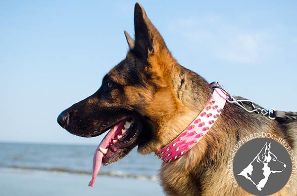 Walking Pink German-Shepherd Collar with Nickel-plated D-ring